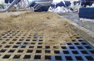 livestock-mats-flexigrid-opt FlexiGrid Livestock Mat